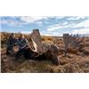 Image 8 : 10 - DAY ALASKA-YUKON MOOSE HUNT FOR 1 HUNTER IN NORTHWEST ALASKA