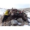 Image 5 : BRITISH COLUMBIA MOUNTAIN SHEEP SPECIAL HUNTING PERMIT