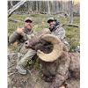 Image 3 : WYOMING ROCKY MOUNTAIN BIGHORN SHEEP LICENSE