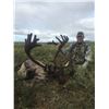 Image 11 : 10 - DAY DALL’S SHEEP/ ARCTIC GRIZZLY/BARREN GROUND/CARIBOU HUNT FOR 1 HUNTER IN ALASKA’S ARCTIC NAT