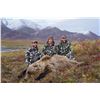 Image 2 : 10 - DAY DALL’S SHEEP/ ARCTIC GRIZZLY/BARREN GROUND/CARIBOU HUNT FOR 1 HUNTER IN ALASKA’S ARCTIC NAT
