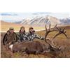 Image 3 : 10 - DAY DALL’S SHEEP/ ARCTIC GRIZZLY/BARREN GROUND/CARIBOU HUNT FOR 1 HUNTER IN ALASKA’S ARCTIC NAT