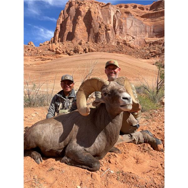 NAVAJO NATION DESERT BIGHORN