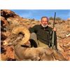 Image 2 : NAVAJO NATION DESERT BIGHORN