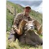 Image 3 : NEW MEXICO ROCKY MOUNTAIN BIGHORN SHEEP PERMIT