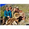 Image 2 : 10 - DAY LA PALMOSA DESERT SHEEP HUNT FOR 1 HUNTER AND 2 NON-HUNTERS