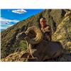 Image 3 : 10 - DAY LA PALMOSA DESERT SHEEP HUNT FOR 1 HUNTER AND 2 NON-HUNTERS