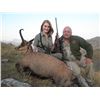 Image 2 : A 5 day Hunt for one Hunter for European Wolf and Balkan Chamois in Macedonia. Proceeds from this it