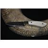 Image 2 : CUSTOM KNIFE FEATURING RWL 34 BLADE W/DALL’S SHEEP HORN ON 1 SIDE AND STONE’S ON THE OTHER  - SKULL