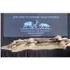 FOUNDATION FOR WILDLIFE MANAGEMENT  (F4WM) WOLF HIDE