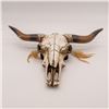 Image 1 : Southwestern Composition Cow's Skull