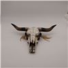 Image 2 : Southwestern Composition Cow's Skull