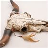 Image 4 : Southwestern Composition Cow's Skull