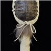Image 3 : Picuris Turtle Shell Rattle by Tom Gray Elk Rael