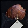 Image 1 : EarthView Desert Ironwood Buffalo Sculpture
