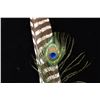 Image 3 : Picuris Pueblo Smudge Feather, Tom Gray Elk Rael