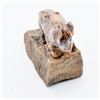 Image 8 : 4 Peruvian Carved Stone Animals with Wood Stand