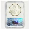 Image 2 : 1926 Silver Peace Dollar PGA - MS64+