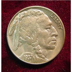 1937P Buffalo Nickel. BU.