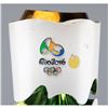 Image 2 : Rio 2016 Summer Olympics Torch