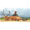 313 #SA-13 Plains Game Hunt for Four Hunters, South Africa