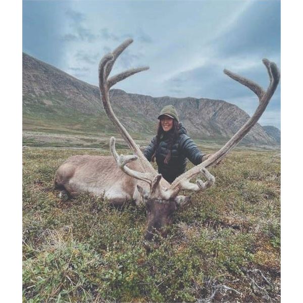 315 #SA-15 Central Canadian Barren Ground Caribou Hunt, Greenland