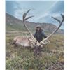 Image 1 : 315 #SA-15 Central Canadian Barren Ground Caribou Hunt, Greenland