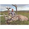 Image 2 : 315 #SA-15 Central Canadian Barren Ground Caribou Hunt, Greenland