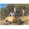 Image 2 : 316 #SA-16 Tule Elk Hunt, California