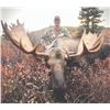 Image 2 : 326 #SA-26 Alaska-Yukon Moose Hunt