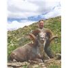 Image 2 : 327 #SA-27 Hangay Argali Hunt, Mongolia