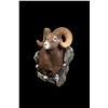 408 #SLA-08 North American Sheep Wall Pedestal Mount