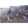 Image 1 : 419 #SLA-19 Columbia Blacktail Hunt, Oregon