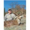 Image 2 : 419 #SLA-19 Columbia Blacktail Hunt, Oregon