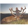 Image 1 : 432 #SLA-32 Red Stag Hunt, New Zealand