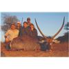 Image 1 : 463 #SLA-63 Plains Game Hunt for TWO Hunters, South Africa