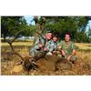 Image 3 : 484 #SLA-84 Red Stag Hunt, Spain