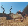 Image 2 : 4110 #SLA-110 Kudu Hunt, South Africa