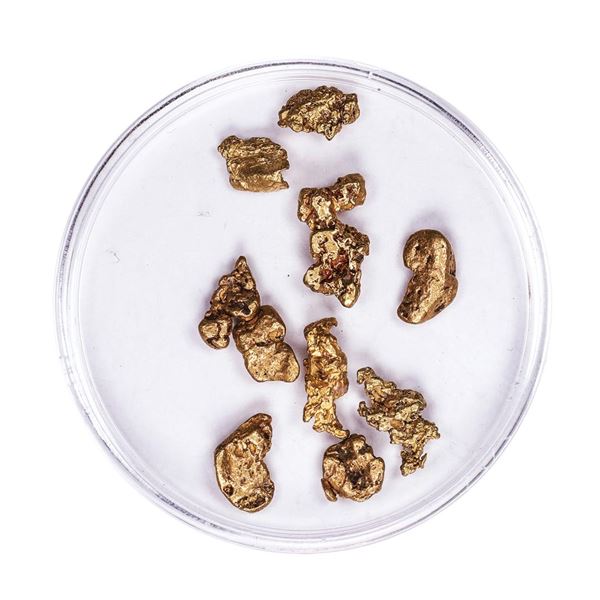 Lot of Gold Nuggets 5.07 Grams Total Weight