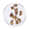 Image 1 : Lot of Gold Nuggets 5.07 Grams Total Weight