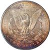 Image 5 : 1902 $1 Morgan Silver Dollar Coin PCGS MS63 Amazing Toning