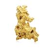 Image 1 : 8.96 Gram Gold Nugget