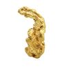 Image 1 : 9.81 Gram Gold Nugget