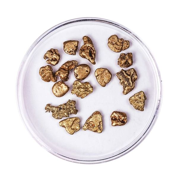 Lot of Gold Nuggets 4.85 Grams Total Weight