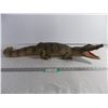 Image 1 : Taxidermied Gator-missing some limbs