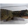 Image 2 : Taxidermied Gator-missing some limbs