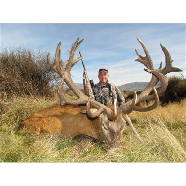 5-day New Zealand Gold-Medal Red Deer Up to 450 SCI Hunt for One