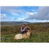 Image 2 : 3-day/4-night Ireland Sika Deer or Red Deer Hunt for One Hunter and One Non-Hunter