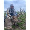 Image 2 : 3-day Wisconsin Northeastern White-tailed Deer Up to 300 SCI Hunt for One Hunter