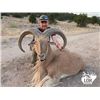 Image 1 : 4-day Texas Aoudad Hunt for One Hunter